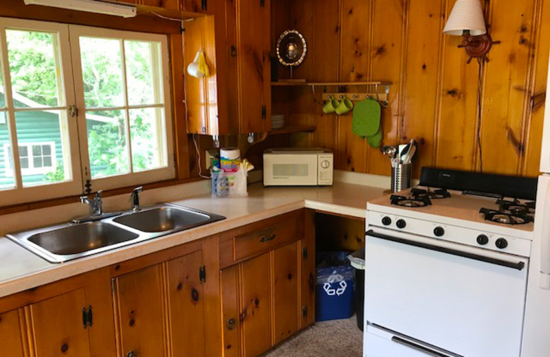 Cabin kitchen at Grandview of Lake Kabetogama.