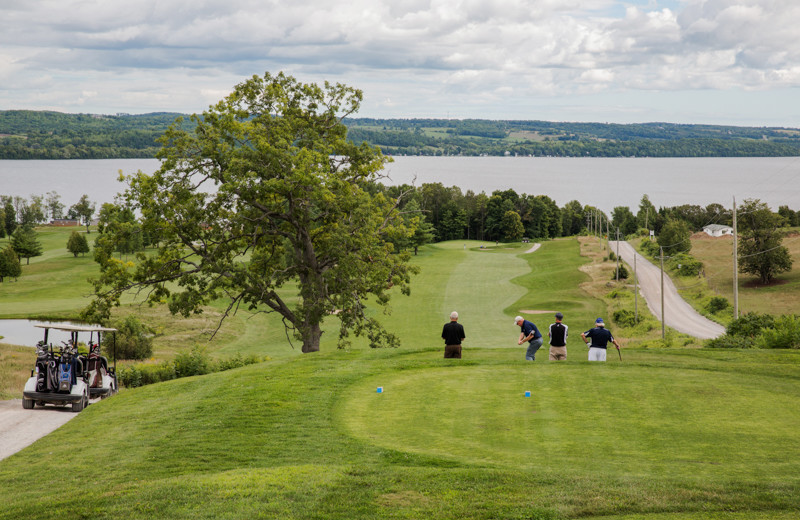 Bellmere Winds Resort (Keene, Ontario) Resort
