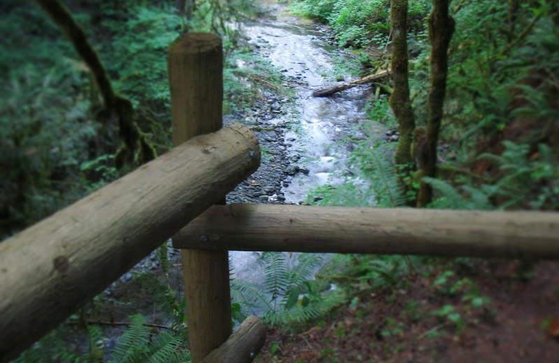 River view at Zen River Retreat.