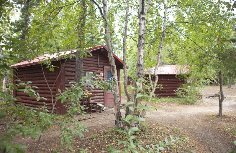 Cabin exterior at Arctic Lodges.