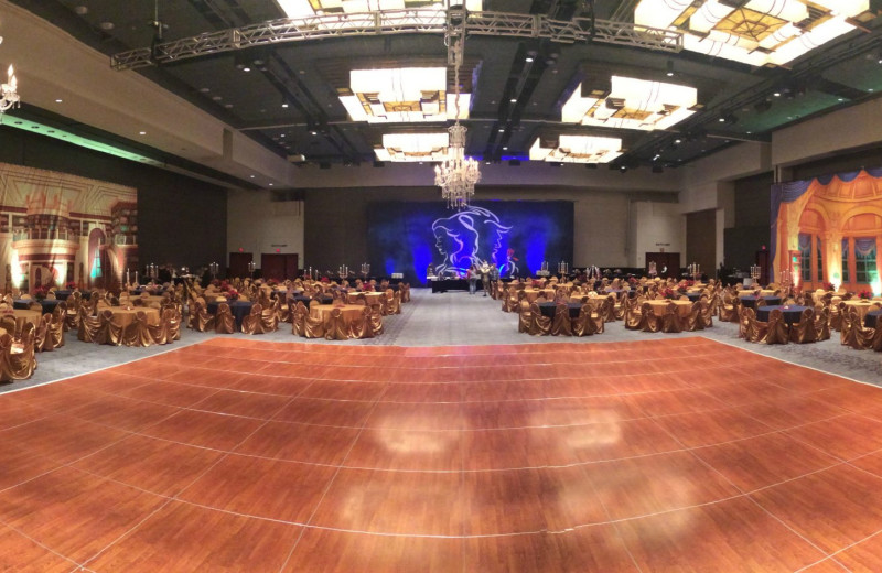 Meetings at Moody Gardens Hotel.