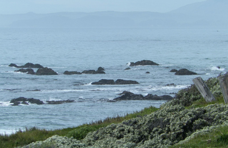The beach at Sea Otter Inn.