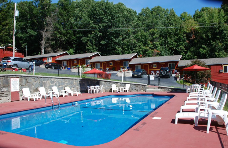 Outdoor pool at Flamingo Resort.