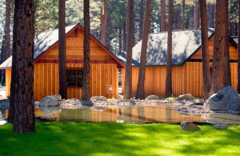 Cabin exterior at FivePine Lodge.