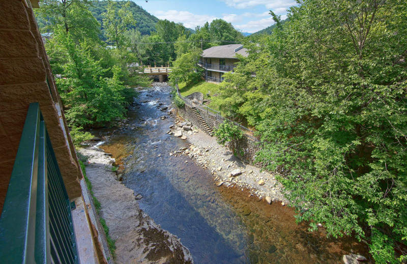 View from Old Creek Lodge.