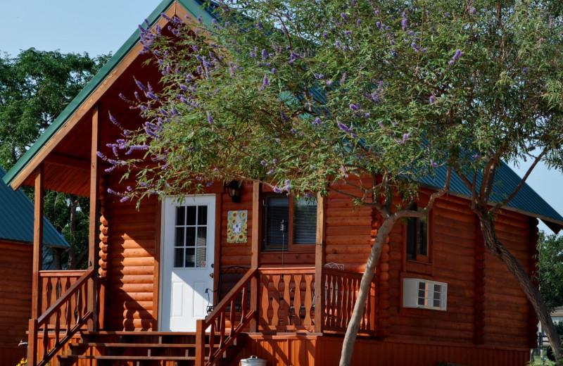 Cabin exterior at Willow Point Resort.