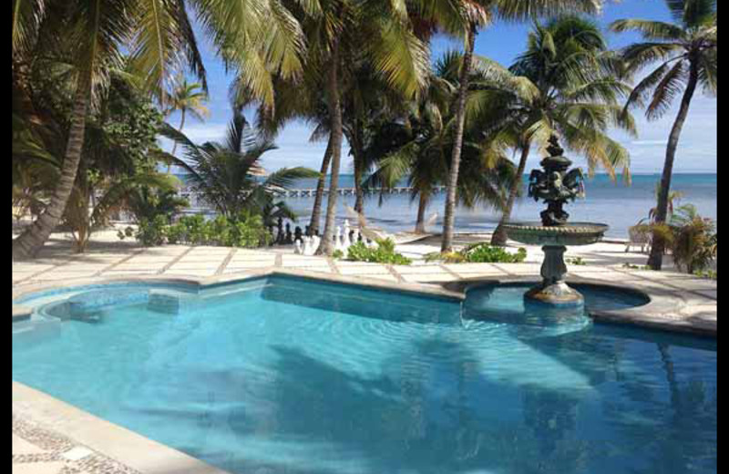 Outdoor pool at Casa Tortuga.