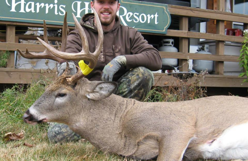 Deer hunting at Harris Hill Resort- Lake Of The Woods.