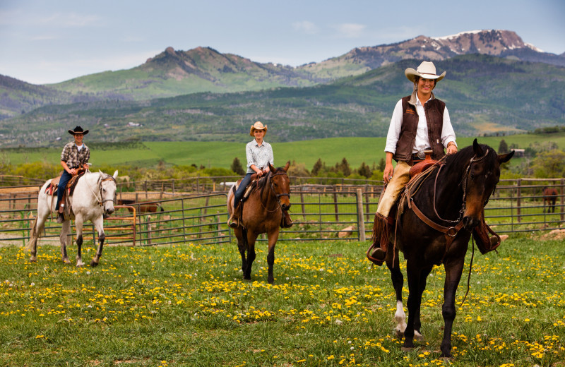 Horseback riding at The Home Ranch.