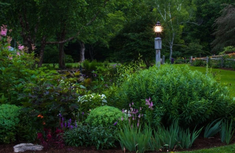 Garden at Four Columns Inn.