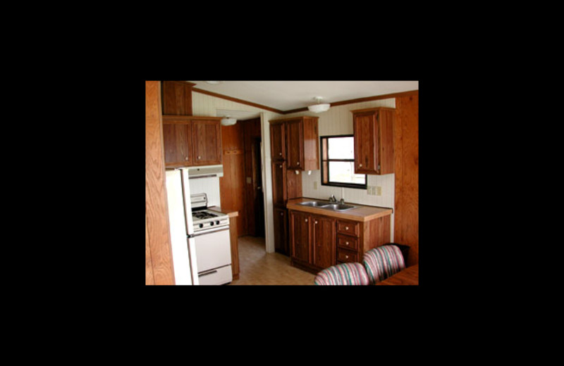 Cabin kitchen at Horseshoe Resort.