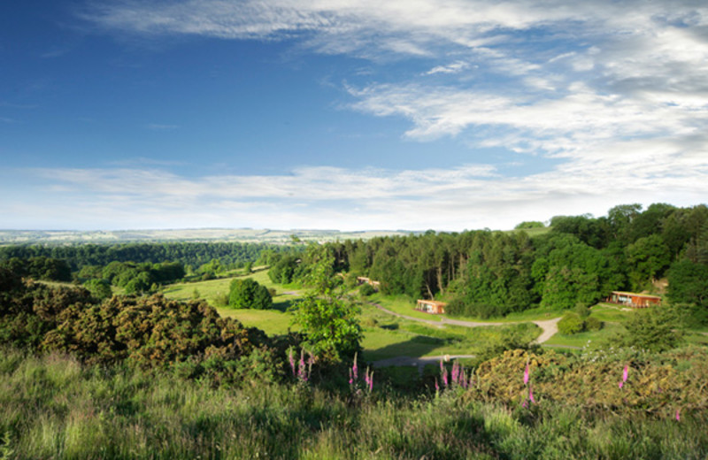 Area surrounding Yorkshire Dales.