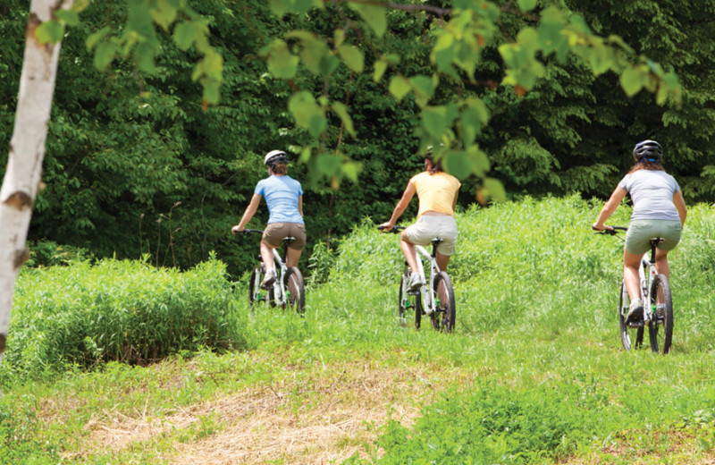 Biking at Canyon Ranch in Lenox.