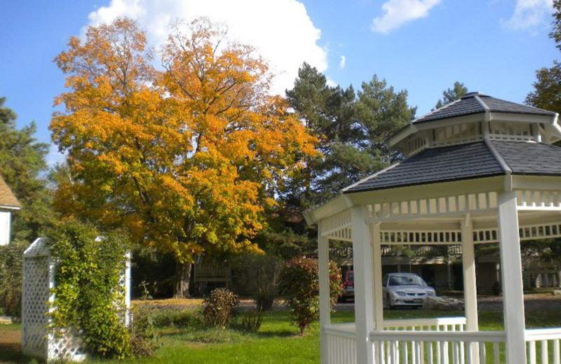 Outdoor gazebo at Parkwood Lodge.