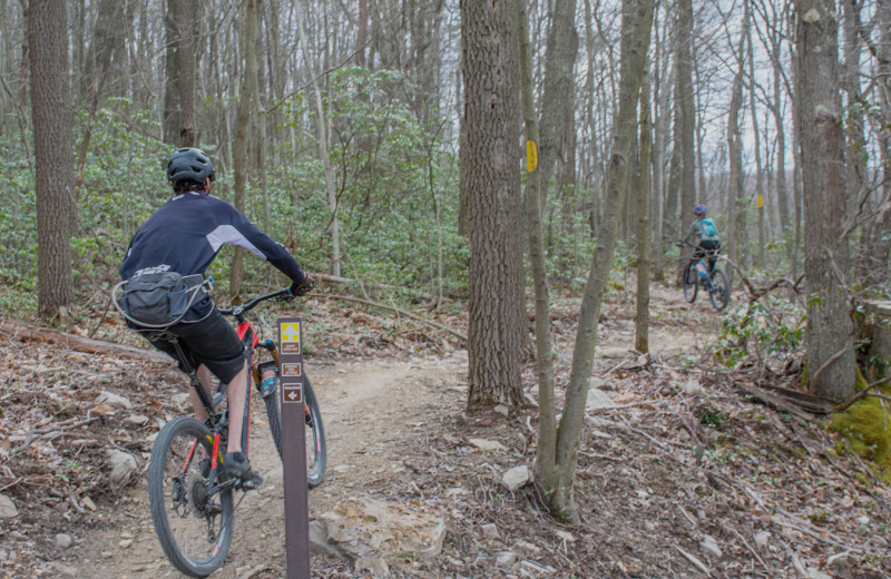 Biking at Railey Vacations.