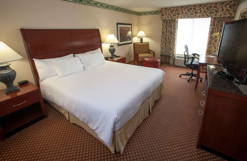 Guest room at Hilton Garden Inn Elko.