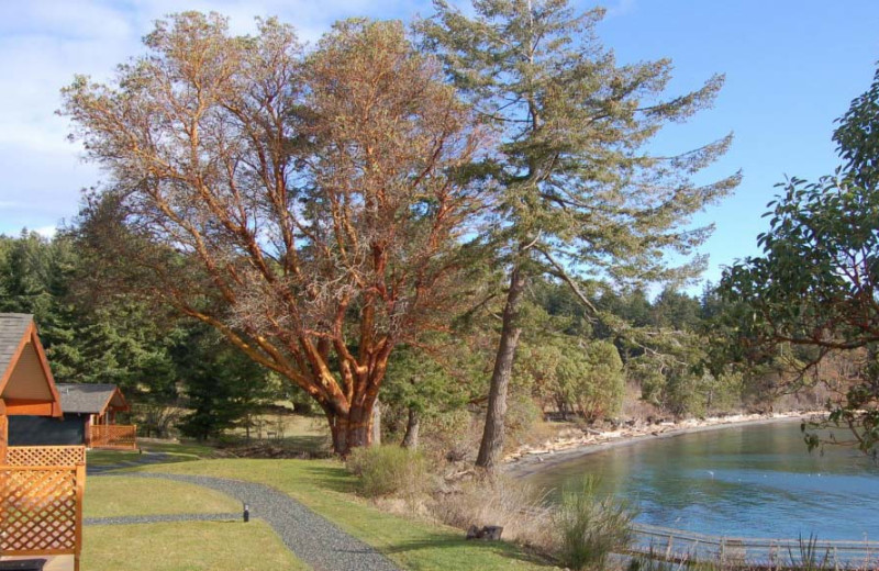 Exterior view of Mayne Island Resort and Spa.