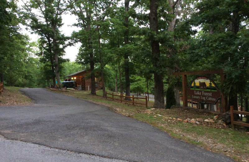 Exterior view of Lake Forest Luxury Log Cabins.