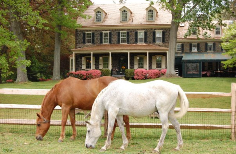 Sweetwater Farm (Glen Mills, PA) Resort Reviews