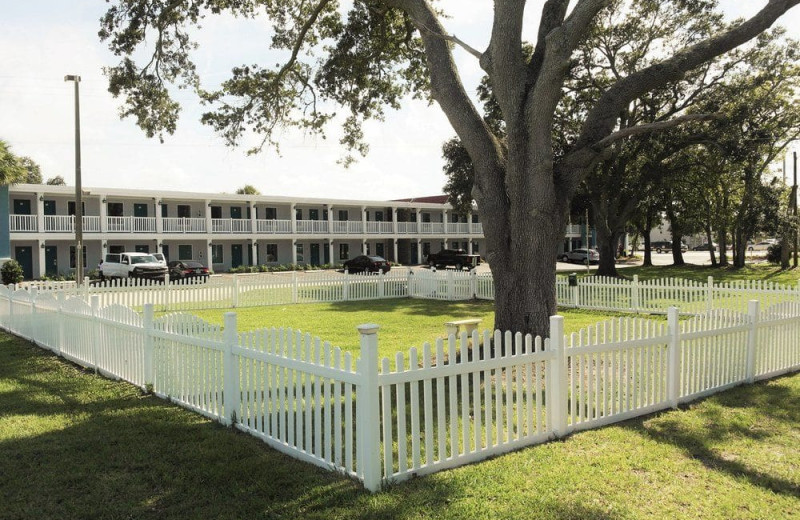 Fenced in dog park at Southern Oaks Inn.
