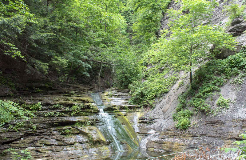 Waterfall near Finger Lakes Premiere Properties.