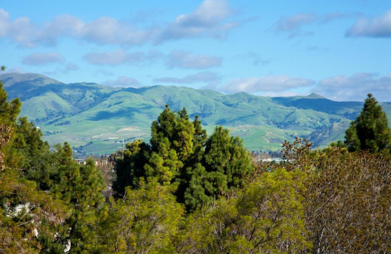 Mountains at Sheraton San Jose Hotel.