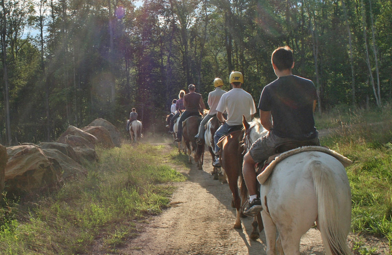 Horseback riding at ACE Adventure Resort.