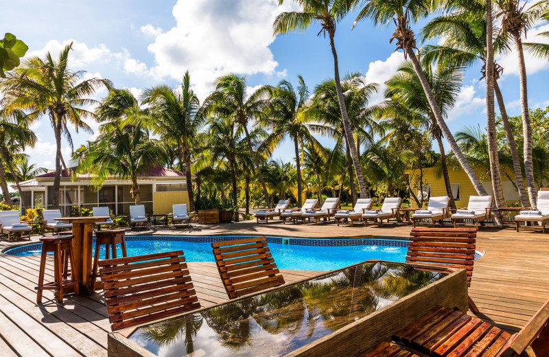 Outdoor pool at Turneffe Island Resort.