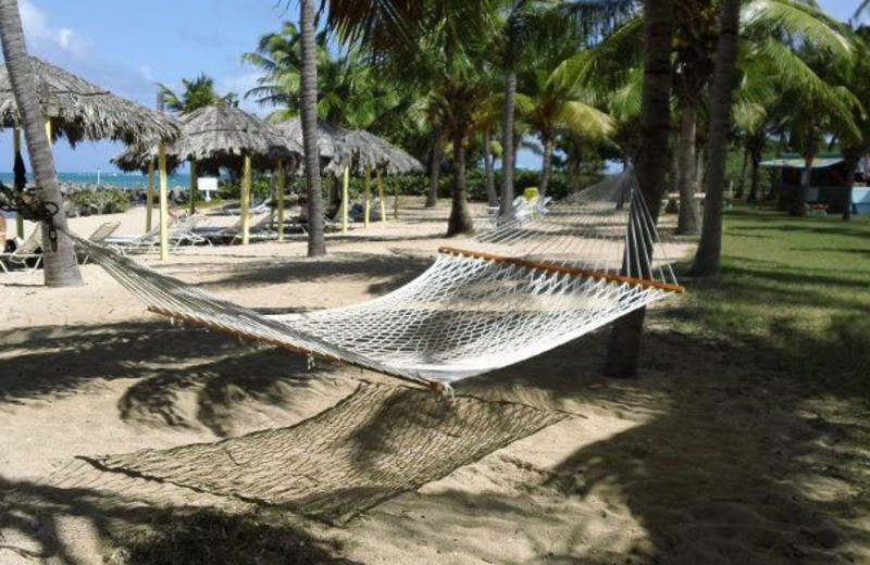 Relax in a Hammock at Tamarind Reef Resort