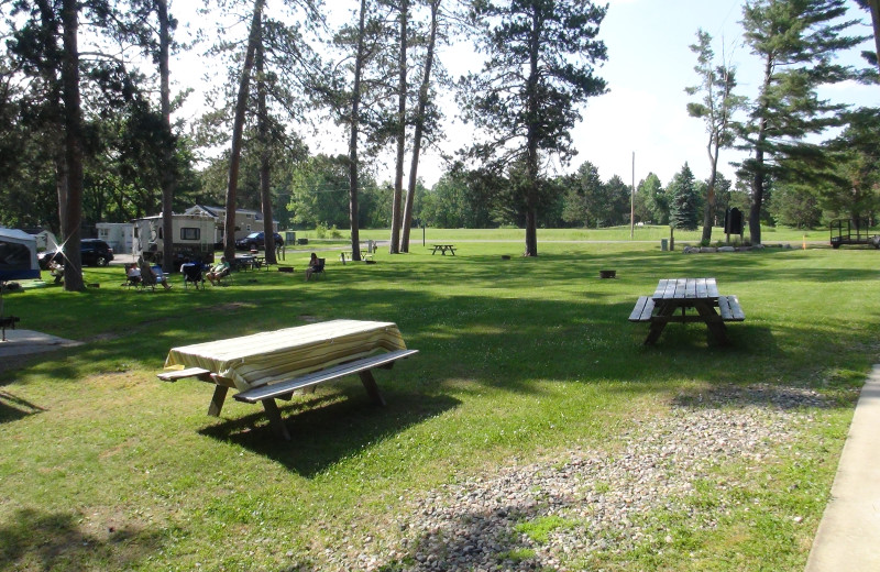 Campground at Moonlight Bay Resort.