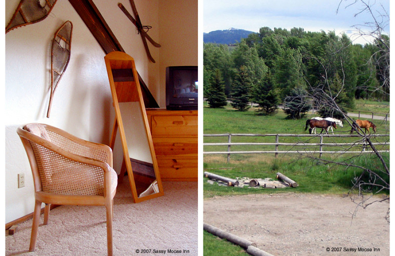 High Country room details at The Sassy Moose Inn.