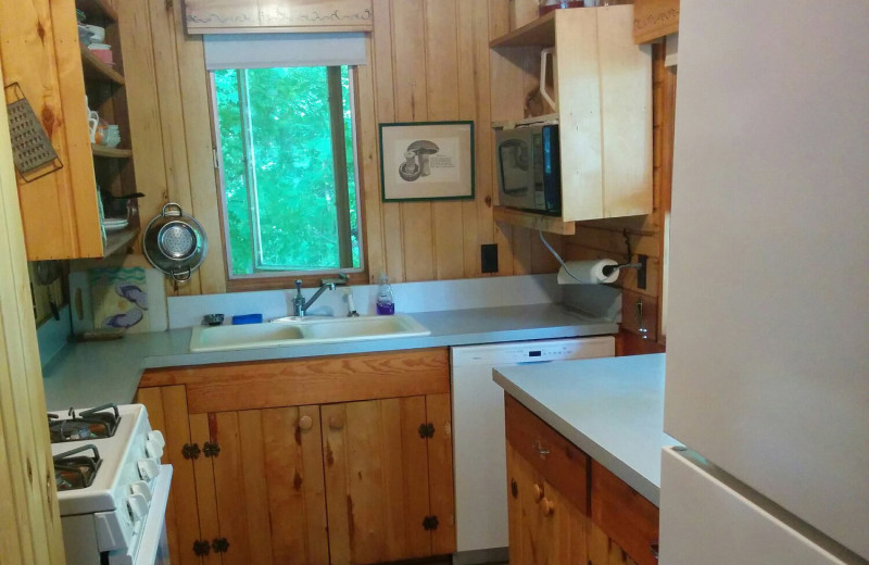 Cabin kitchen at Woodlawn Resort.