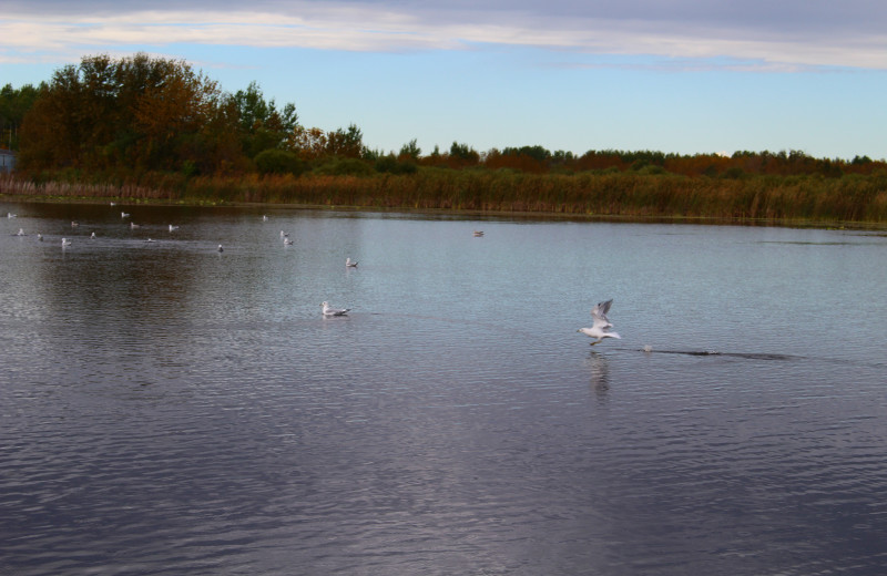 Lake view at Cyrus Resort.