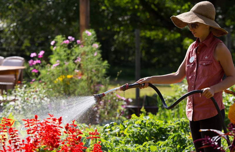 Garden at The Lodge at Woodloch.