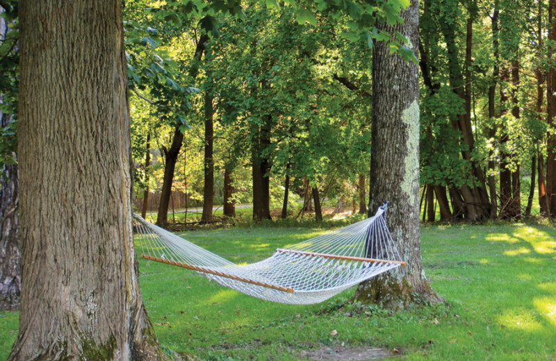 Hammock at Canyon Ranch in Lenox.