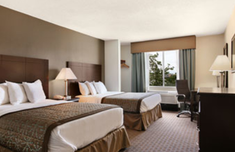 Standard Two Queen Room at Baymont Inn & Suites Copley