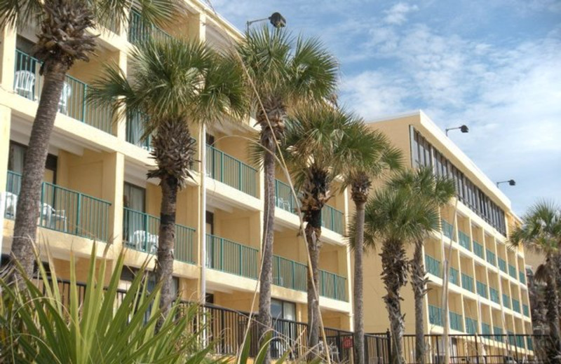 Paradise Palms Panama City Beach Fl Reviews Paradise Palms Panama City Beach Fl Reviews