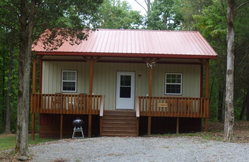 Cabin view at Willowbrook Cabins.