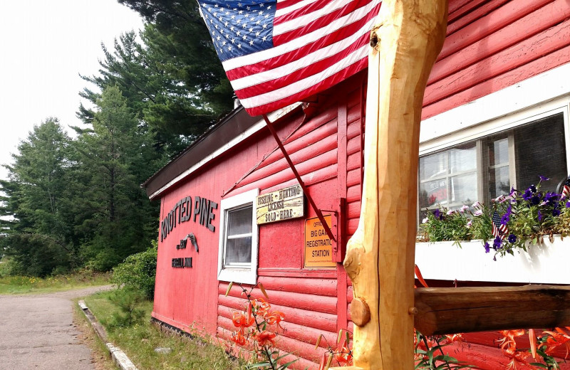 Exterior view of Knotted Pine Inn