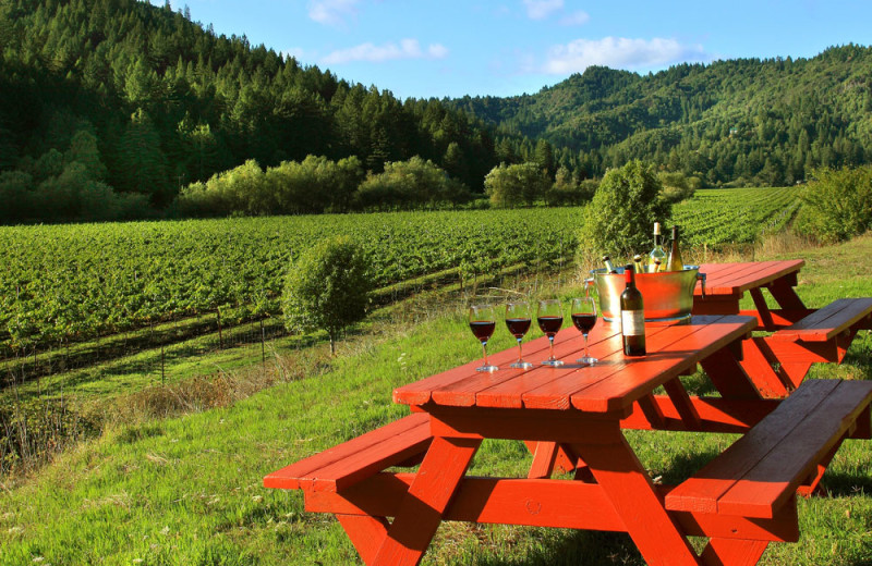 Picnic area at West Sonoma Inn and Spa.