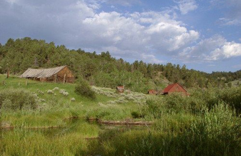 View from the Cabins at The Sugar & Spice Ranch