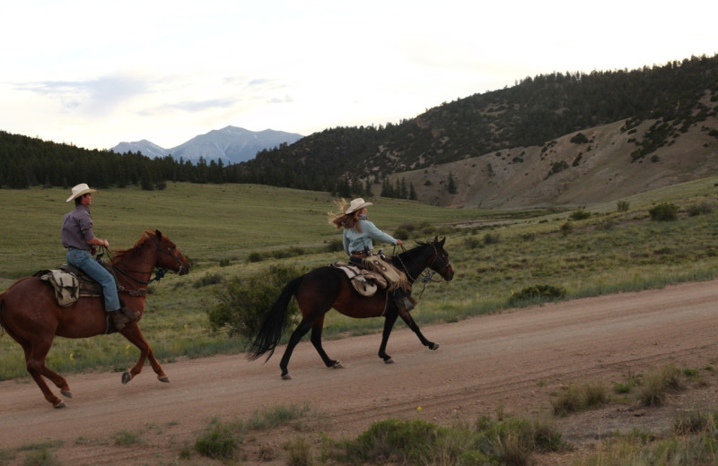 Riding at Elk Mountain Ranch.