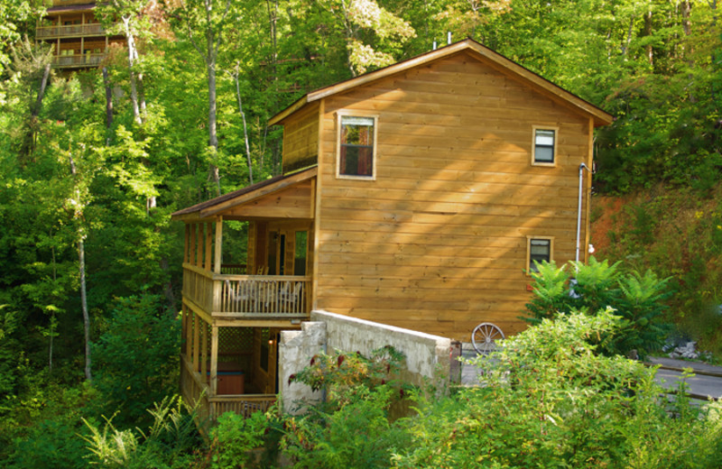 Cobbly Nob Rentals (Gatlinburg, TN) Resort Reviews