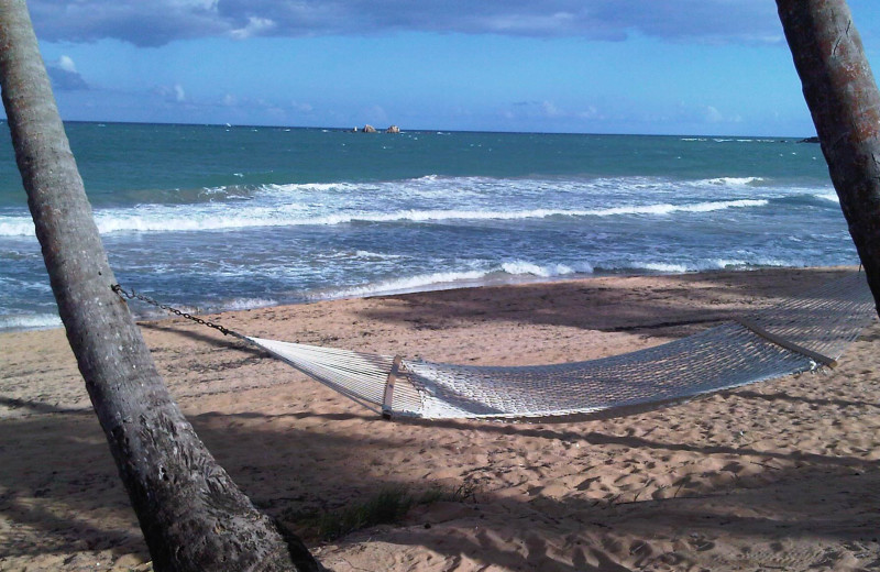 Hammock on the beach at Oceano Beach Resort.