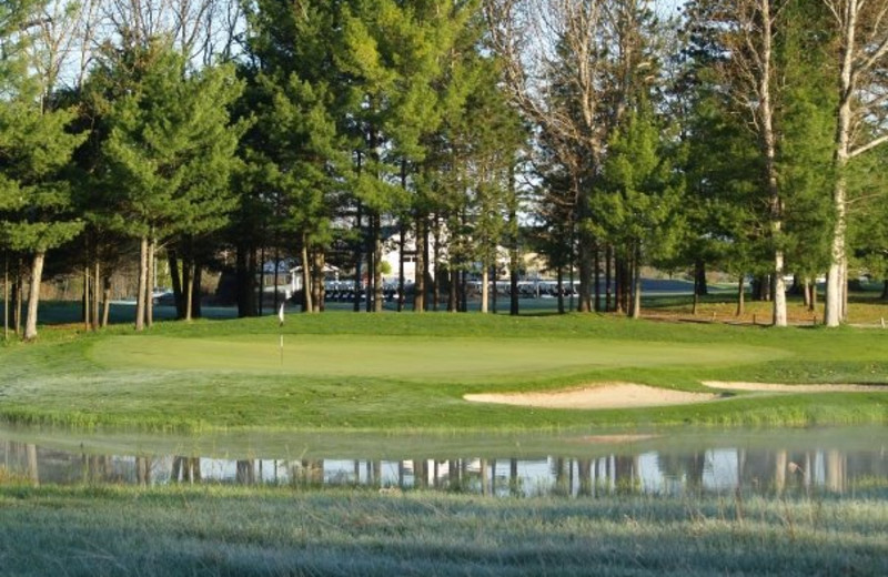 Golf greens at Manistee National Golf & Resort.