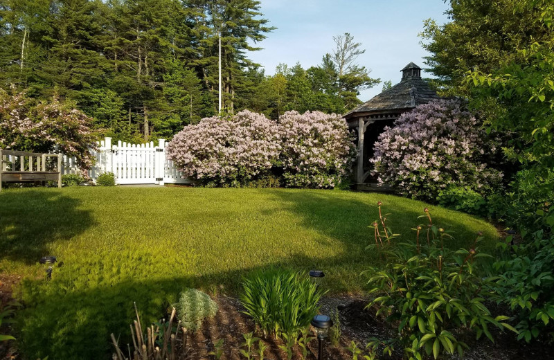 Garden at Cod Cove Inn.