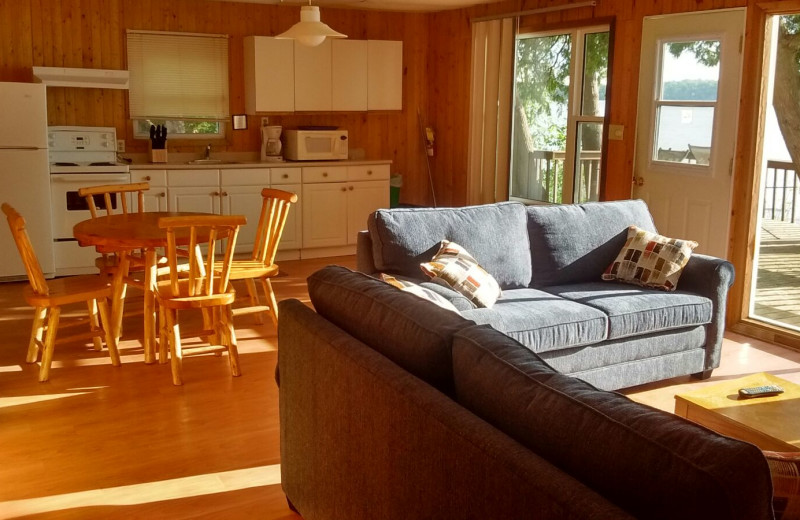 Cabin kitchen and living room at Evergreen Resort.