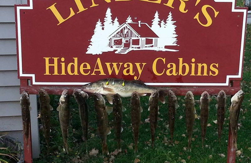 Fishing at Linder's HideAway Cabins.