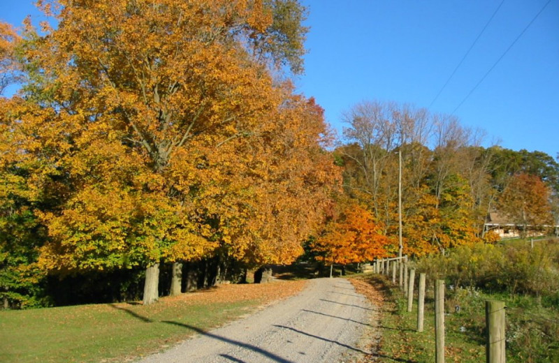 Road at Guggisberg Swiss Inn/Amish Country Riding Stables.