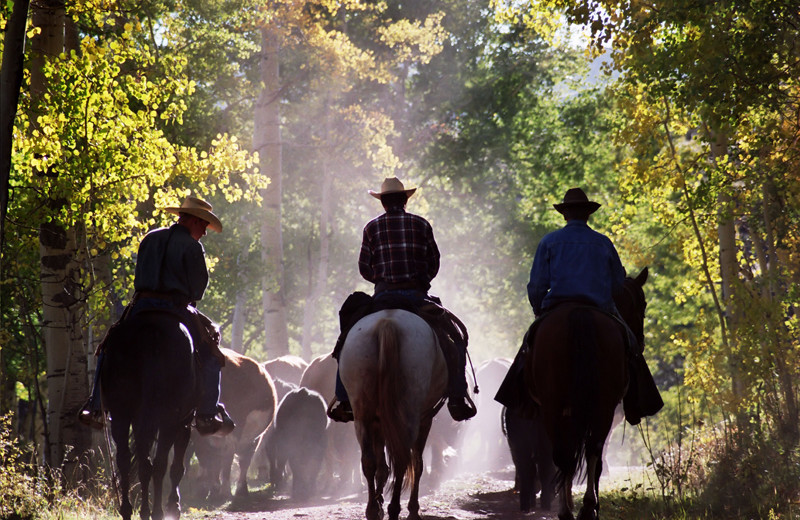 Trail Riding at Latigo Ranch